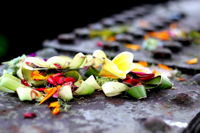 Offerings