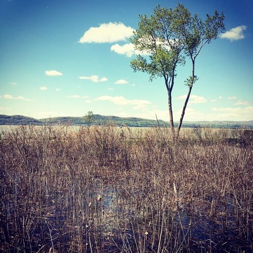 hudson-river-ny-2016